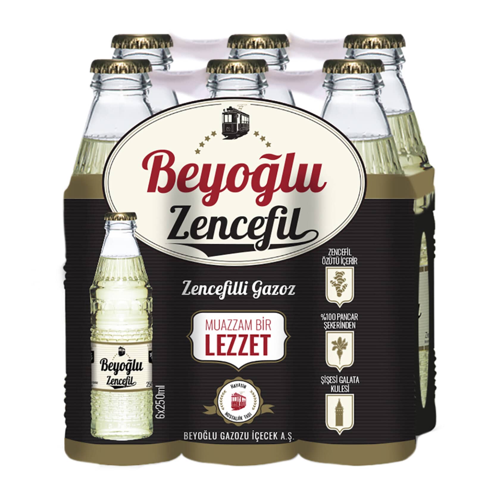 Beyoğlu Zencefilli Doğal Zengin Mineralli Gazlı İçecek 6 x 250 Ml