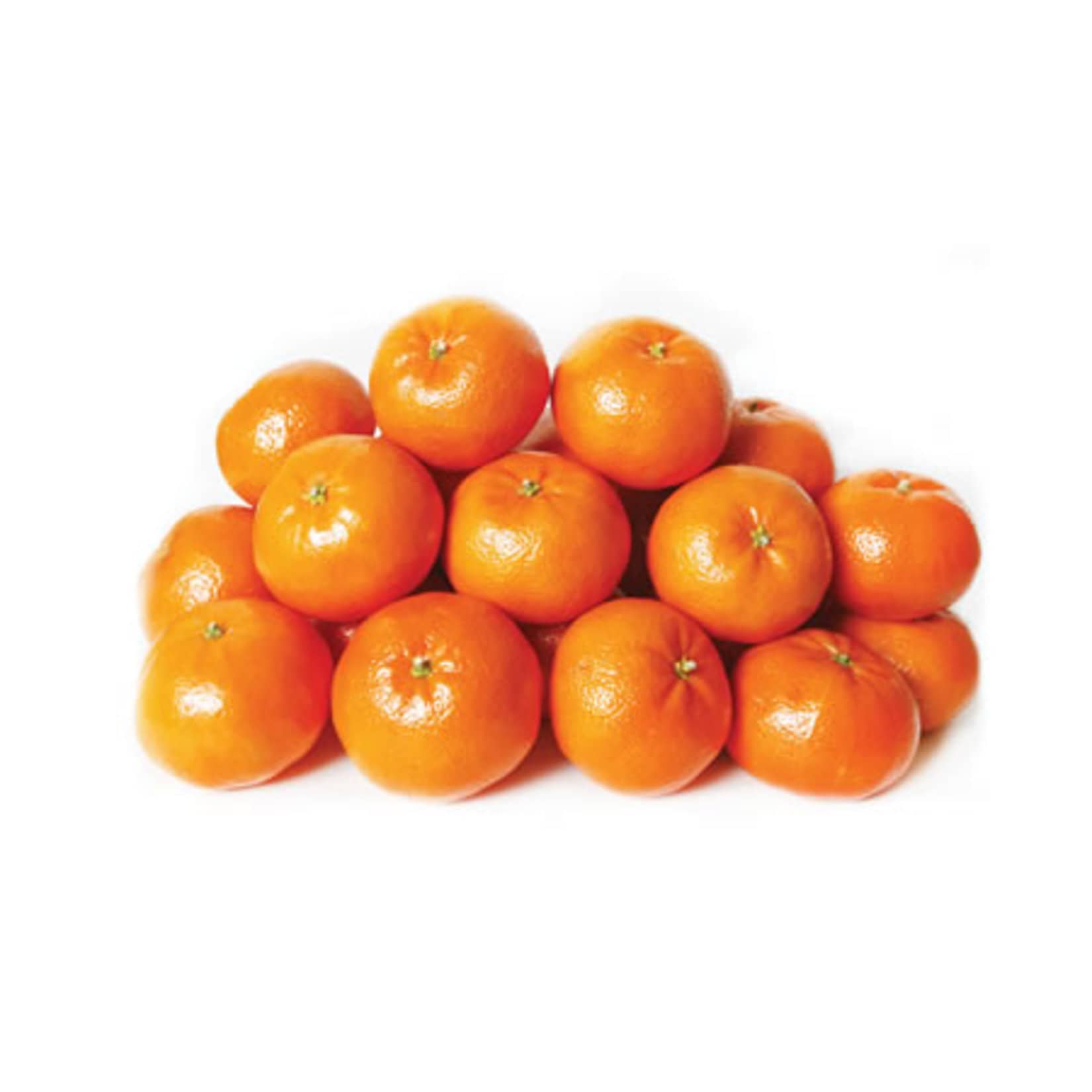 Mandalina King