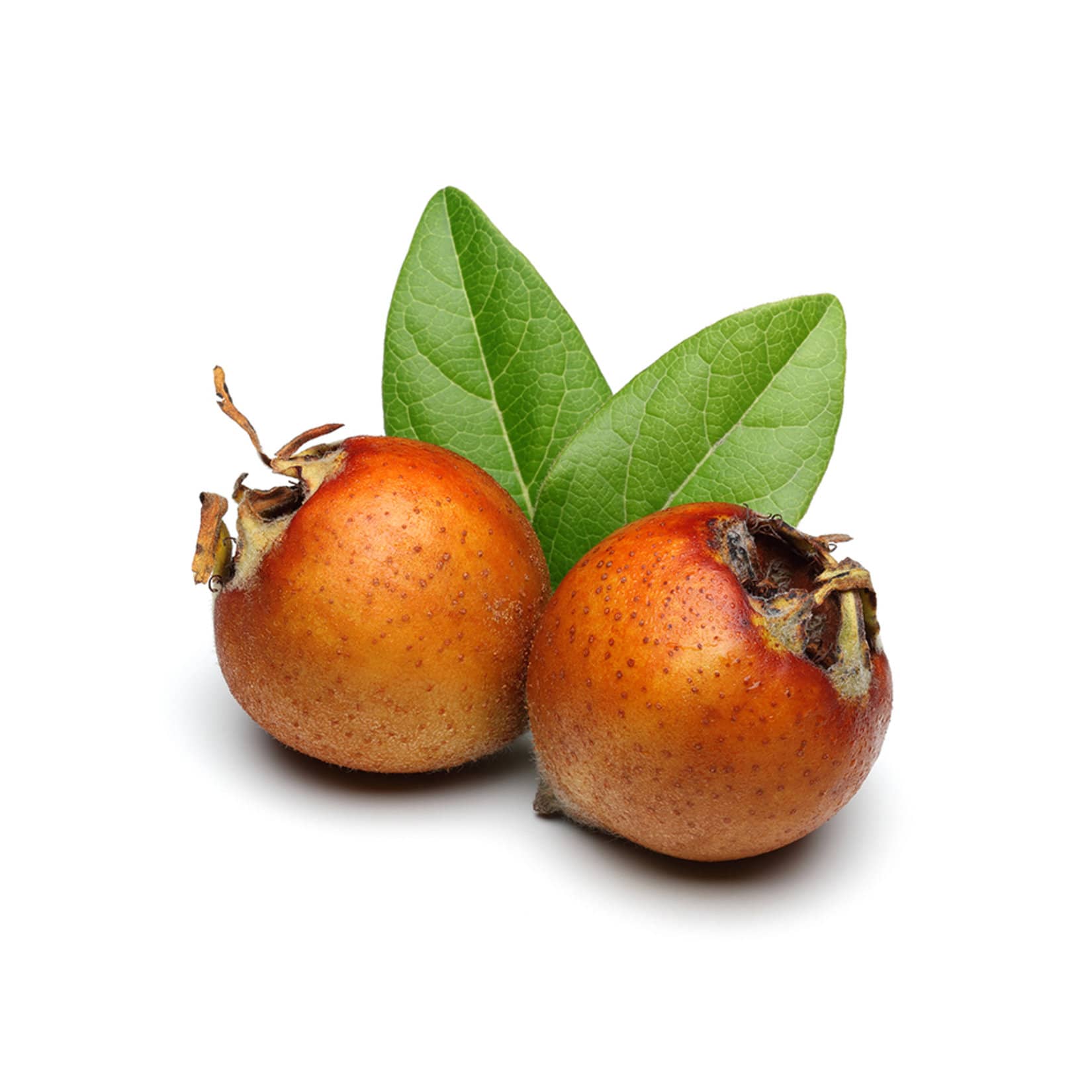 Muşmula