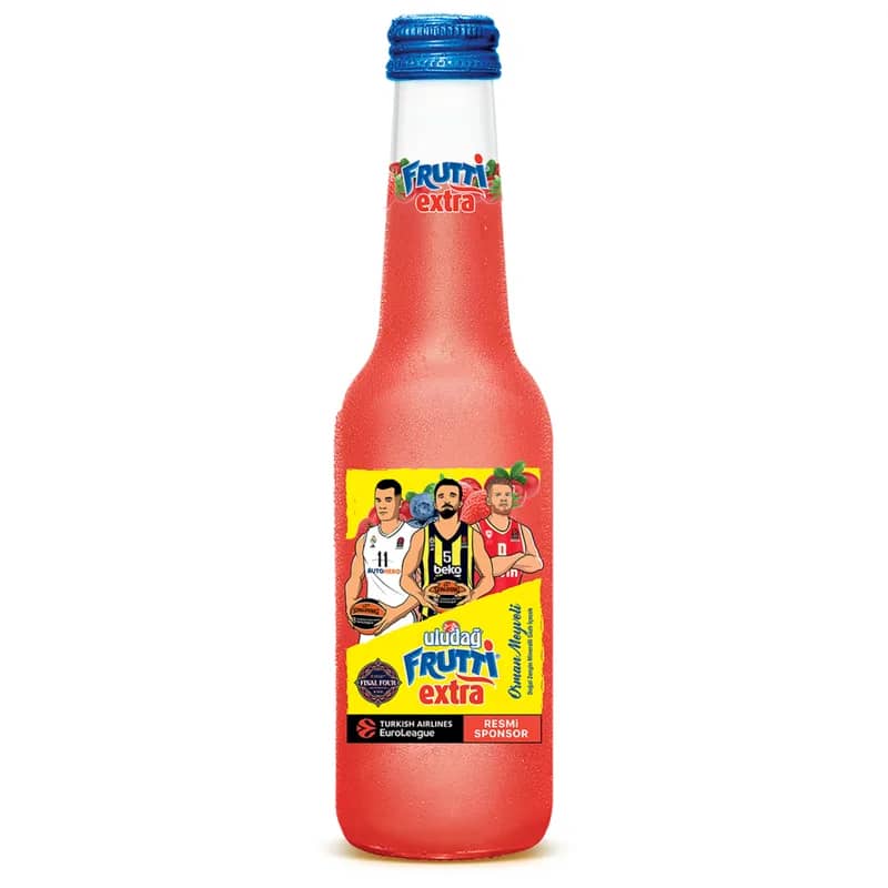 Frutti Extra Orman Meyveli 250 ml